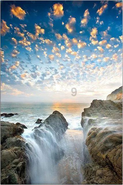 阿尔的派对夜